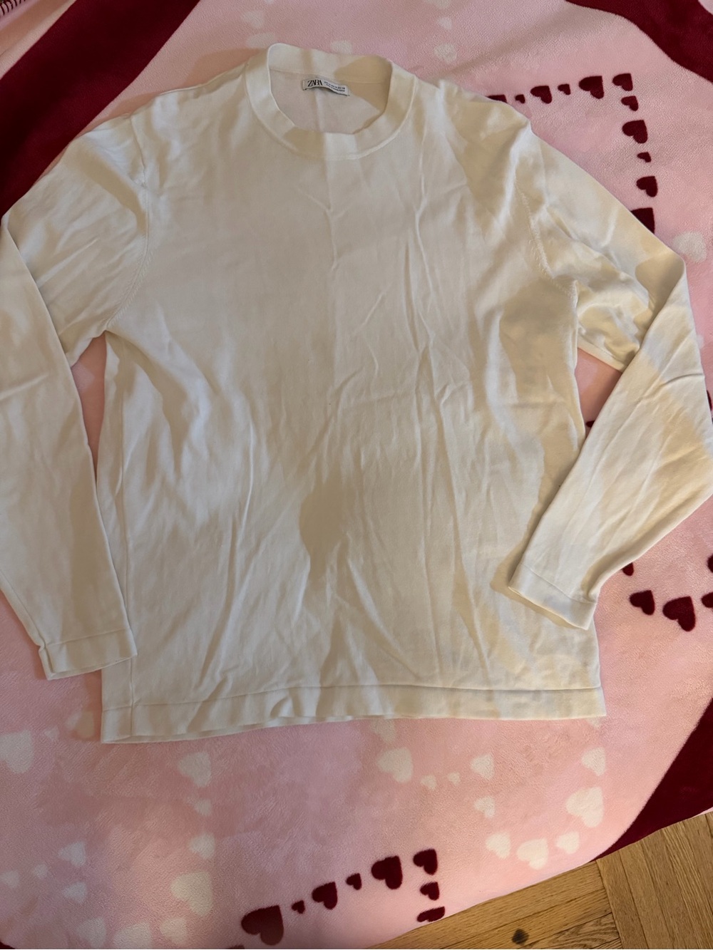 Zara Classic Crewneck Long Sleeve Top in Ivory